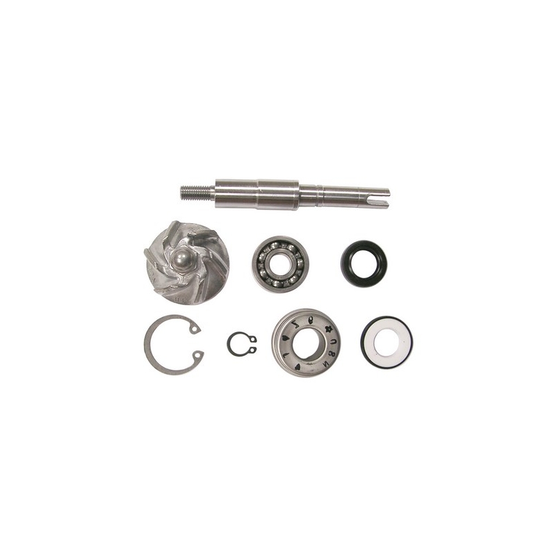 Vicma 8663 Wasserpumpe Reparatursatz Ausverkauf