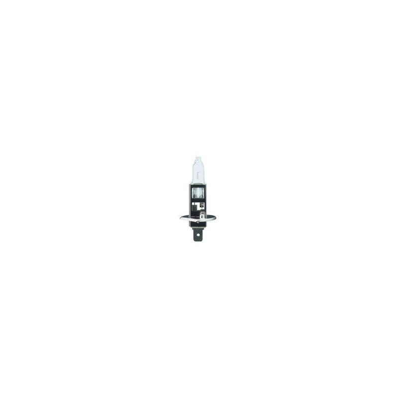 Halogenglühlampe Philips-H1 12V 55W Premium Ausverkauf