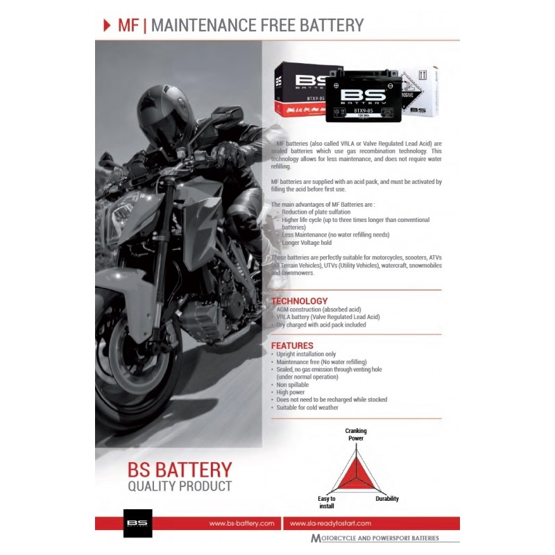 Wartungsfreie Batterie - max. 20% Neigung BS-BATTERY