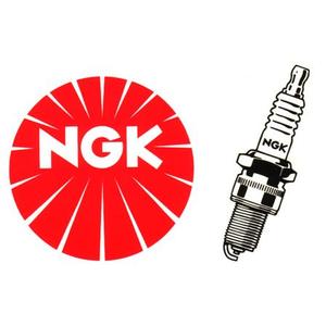 Zündkerze NGK DR8EB