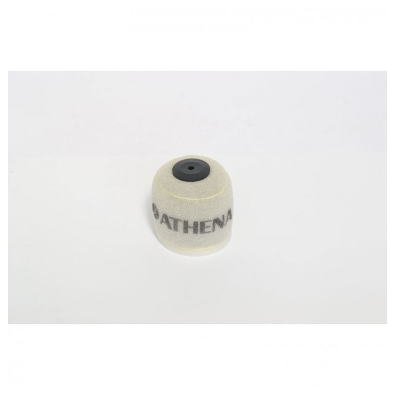 Luftfilter ATHENA für KTM Freeride 350 2012-2017
