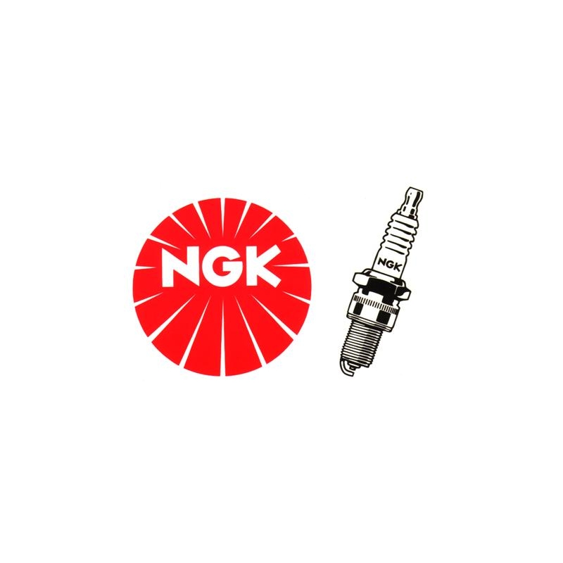 Zündkerze NGK-DCPR8E, 4179