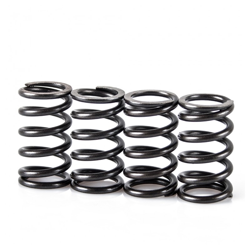 Kupplungsfedersatz MOTION STUFF