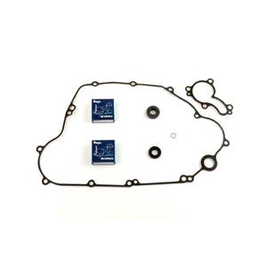 Wasserpumpedichtung Satz ATHENA P400250475011