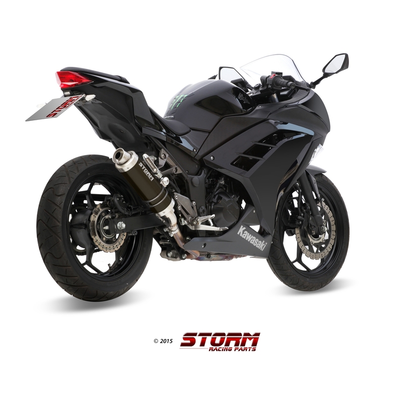 Auspuffendstück STORM GP Steel black für KAWASAKI Z 300 2015-2016, KAWASAKI EX Ninja 300 2013-2016