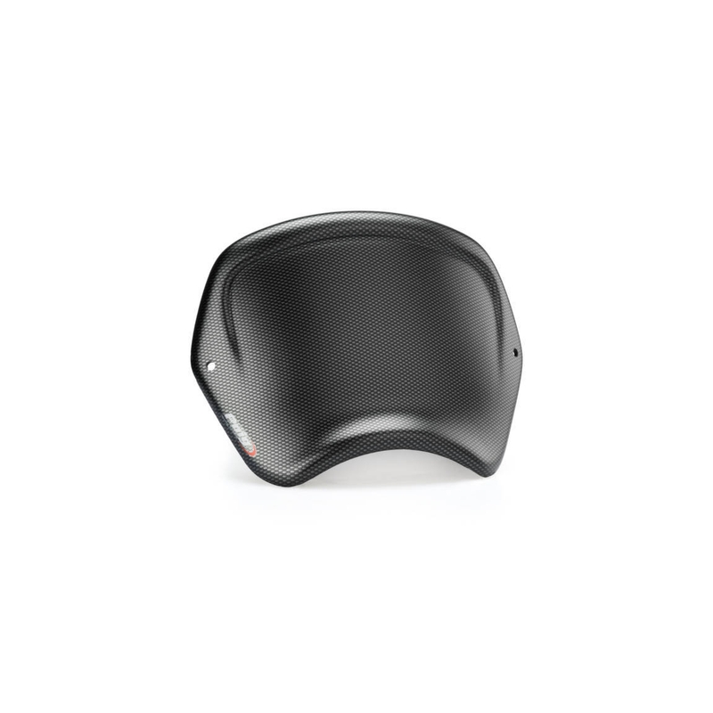 Windschirm PUIG FRONTAL PLATE carbon look
