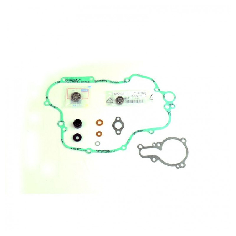 Wasserpumpedichtung Satz ATHENA with bearings