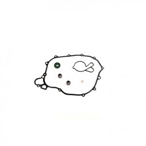 Wasserpumpedichtung Satz ATHENA P400270475016 with bearings