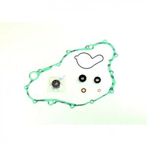 Wasserpumpedichtung Satz ATHENA P400485475008 with bearings