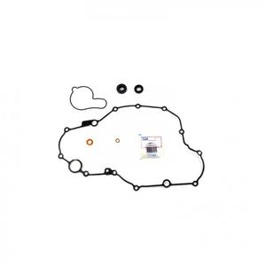 Wasserpumpedichtung Satz ATHENA P400485475009 with bearings