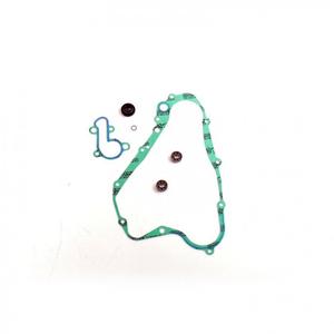 Wasserpumpedichtung Satz ATHENA P400510475001 with bearings