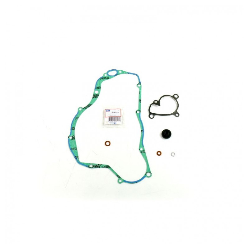 Wasserpumpedichtung Satz ATHENA with bearings