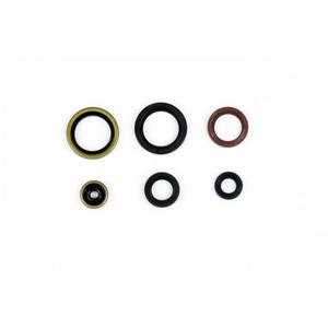 Satz Motor-Wellendichtringe ATHENA P400270400077