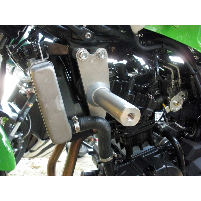 Kawasaki ZX-300R Klassisch