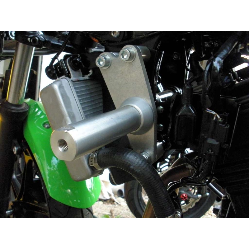 Kawasaki ZX-300R Klassisch