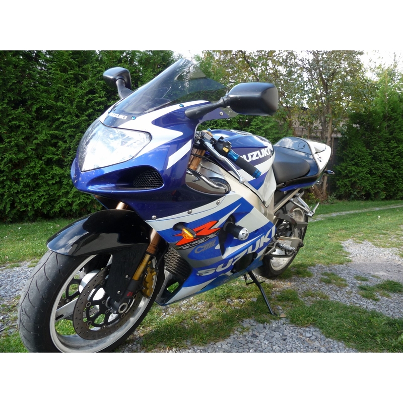 Suzuki GSX-R 1000 (01-02) Klassisch