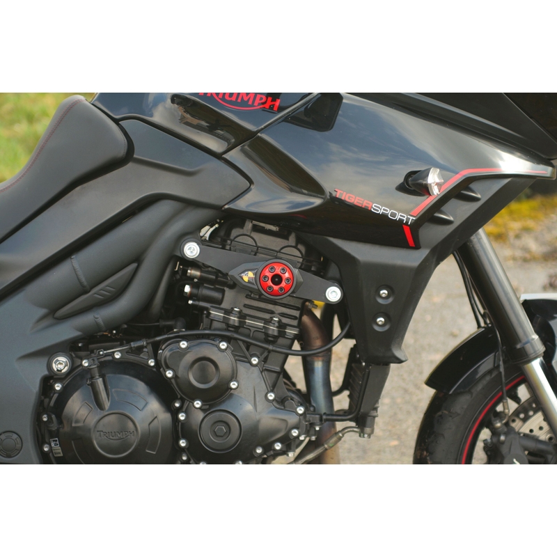 Triumph TIGER SPORT 1050 (13-) Pfeil