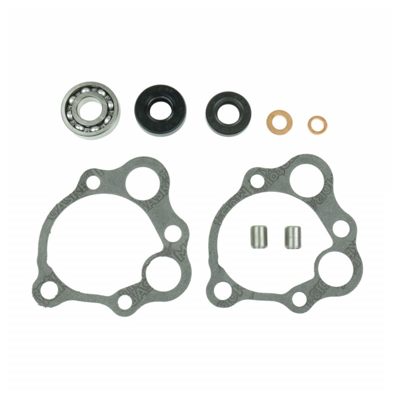 Wasserpumpedichtung Satz ATHENA with bearings