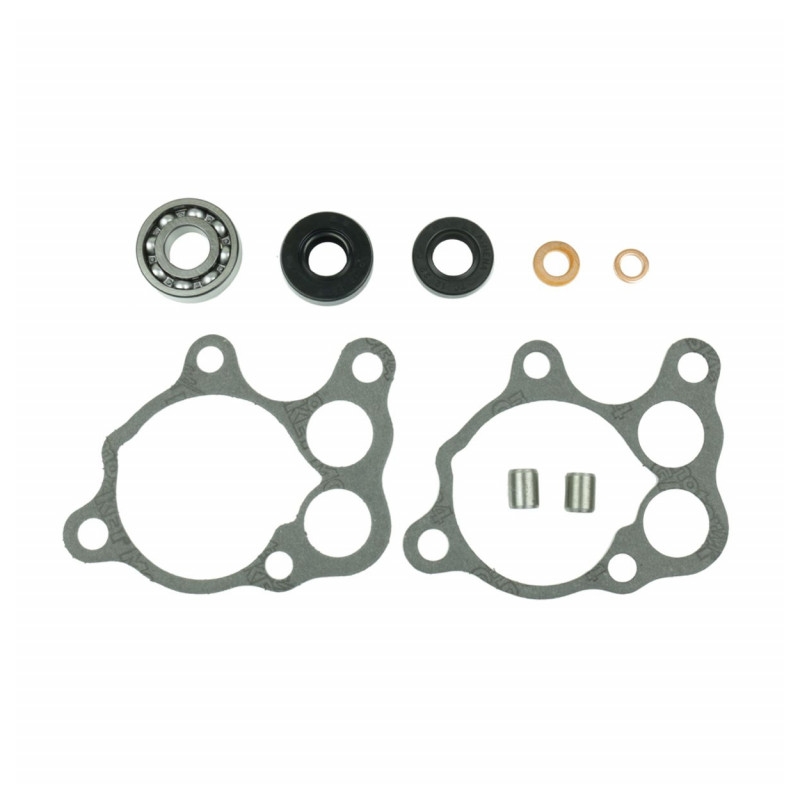 Wasserpumpedichtung Satz ATHENA with bearings