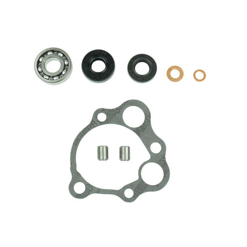Wasserpumpedichtung Satz ATHENA with bearings