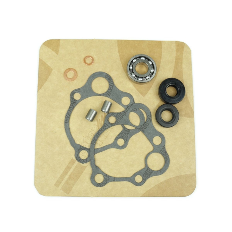 Wasserpumpedichtung Satz ATHENA with bearings