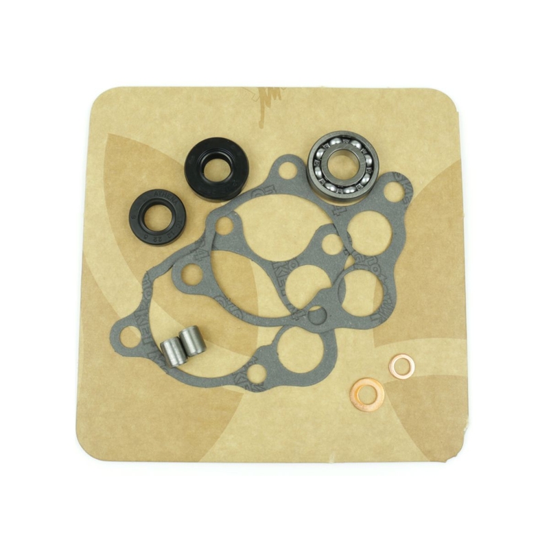 Wasserpumpedichtung Satz ATHENA with bearings
