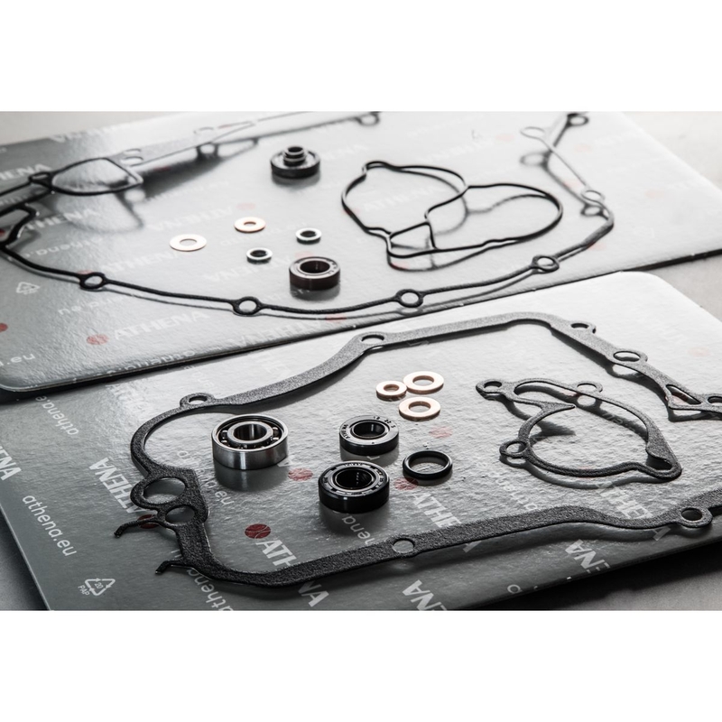 Wasserpumpedichtung Satz ATHENA with bearings