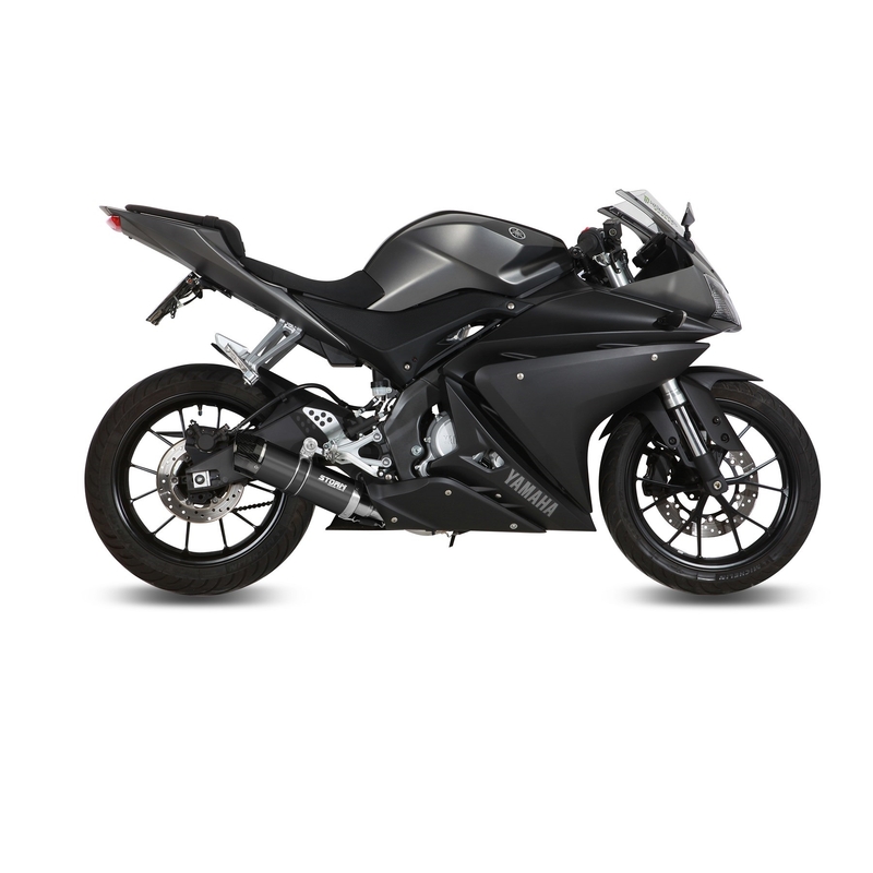 Auspuff komplett 1x1 STORM GP Black with carbon cap