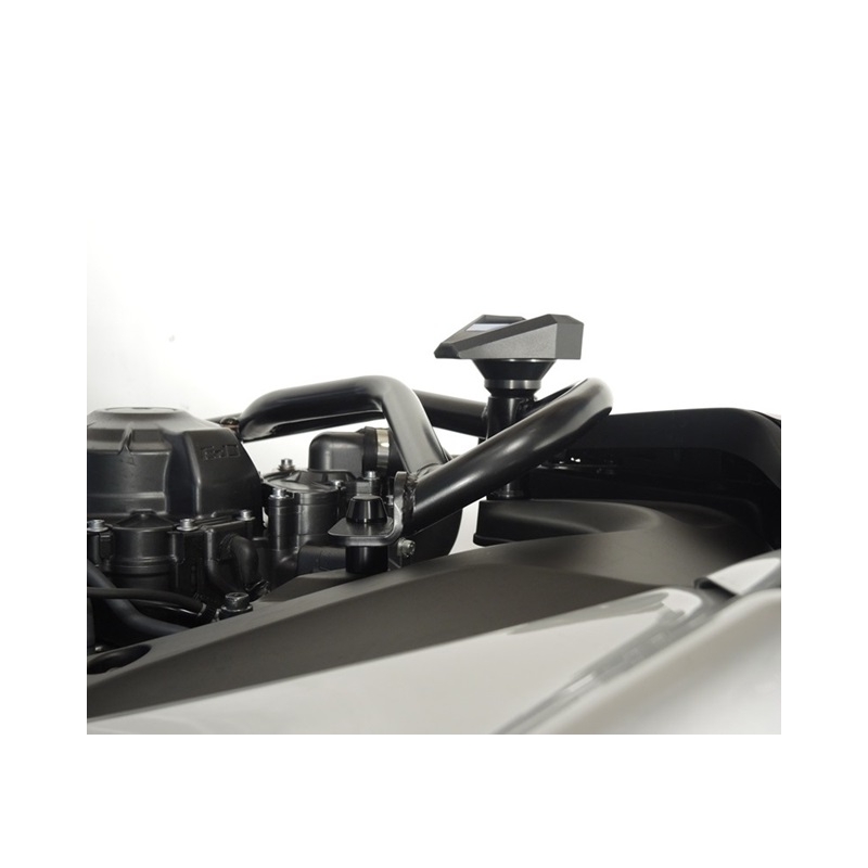 Motor Schutzrahmen RDMOTO schwarz (with protectors)