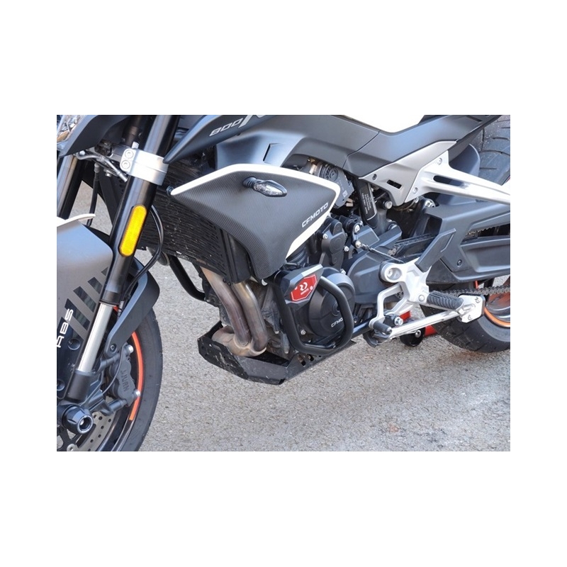 Motor Schutzrahmen RDMOTO schwarz (with protectors)