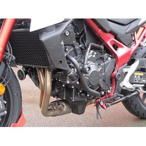 Motor Schutzrahmen RDMOTO CF166KDPH01 schwarz (with protectors)