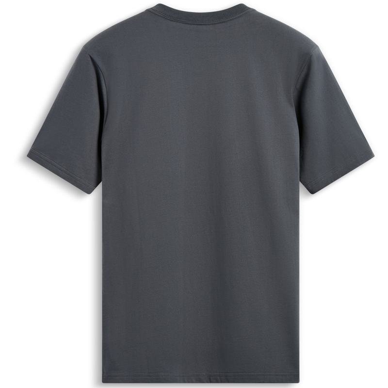 Graues T-Shirt Alpinestars Waving Patch CSF
