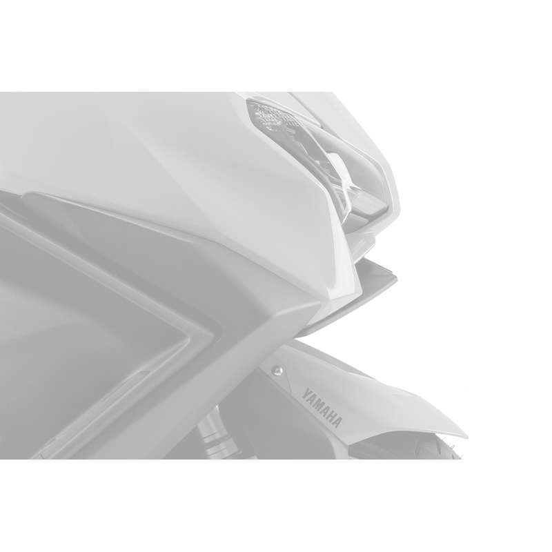 Frontal spoilers PUIG NAKED carbon look
