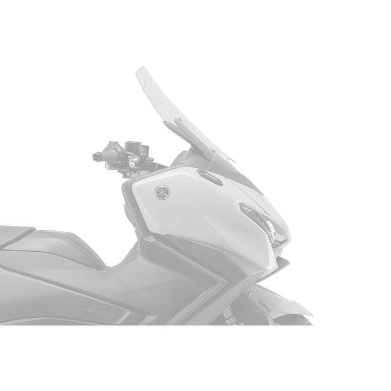 Frontal spoilers PUIG NAKED carbon look