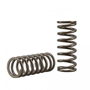 Clutch spring kit EBC CSK240