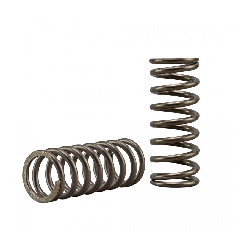 Clutch spring kit EBC