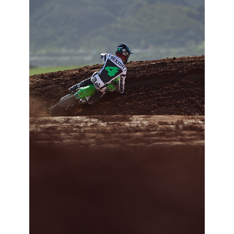 Alpinestars Techstar Limited Edition Wolf Dust Motocross-Hose, sand-schwarz