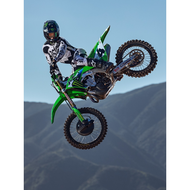 Alpinestars Techstar Limited Edition Wolf Dust Motocross-Hose, sand-schwarz