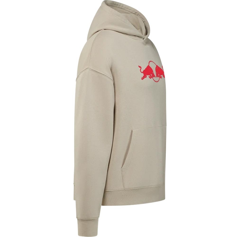 Oracle Red Bull Racing Spark Hoodie grau