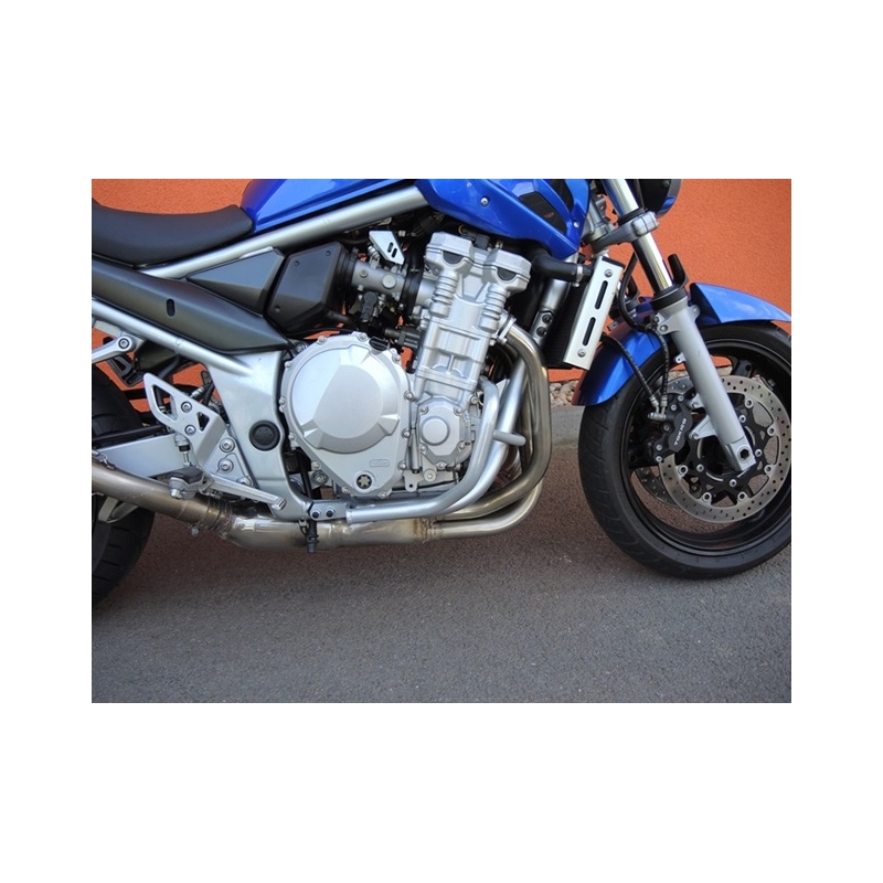 Motor Schutzrahmen RDMOTO silber