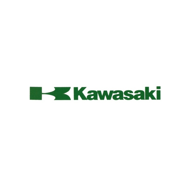 Kawasaki-Aufkleber grün
